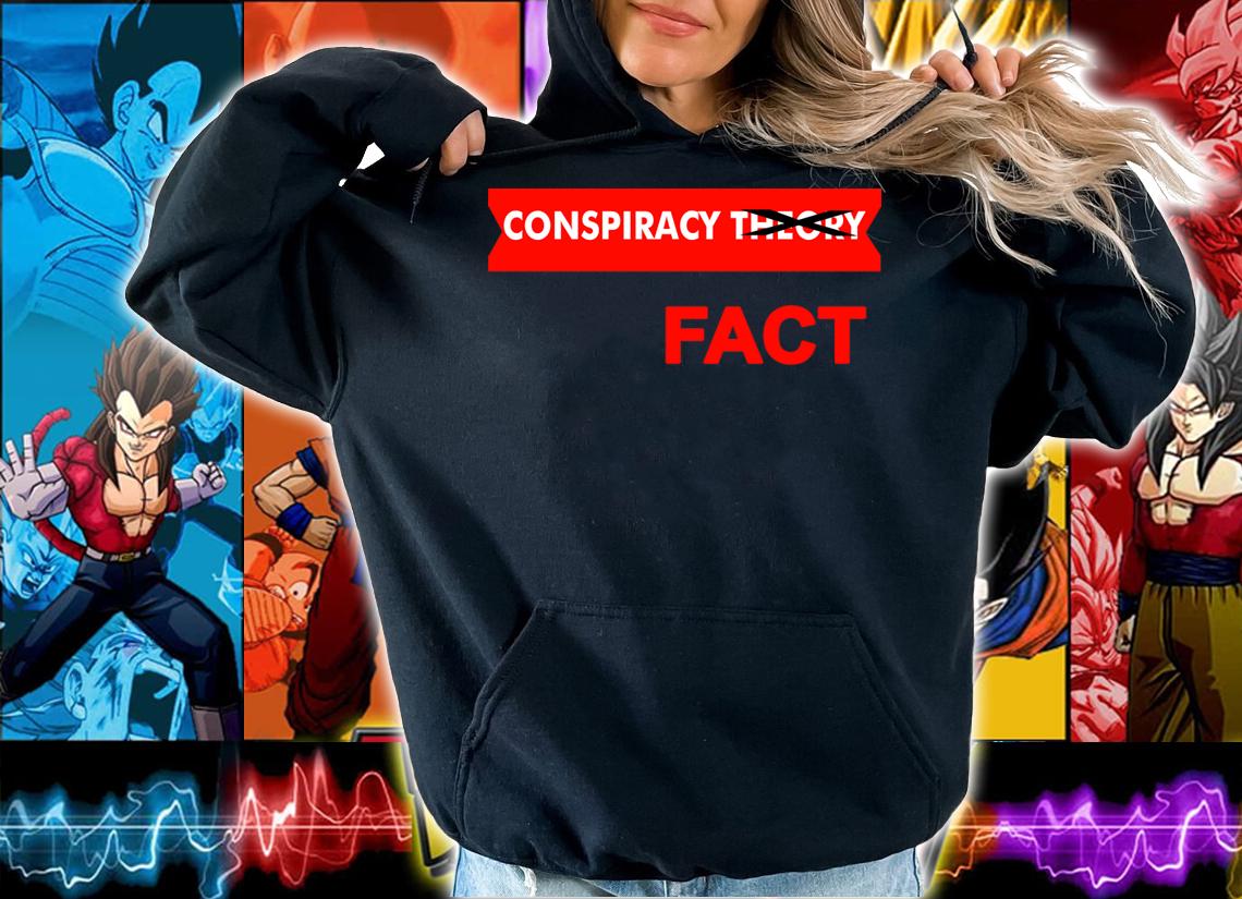 Conspiracy Theory Crossed Out Fact t-shirt hoodie