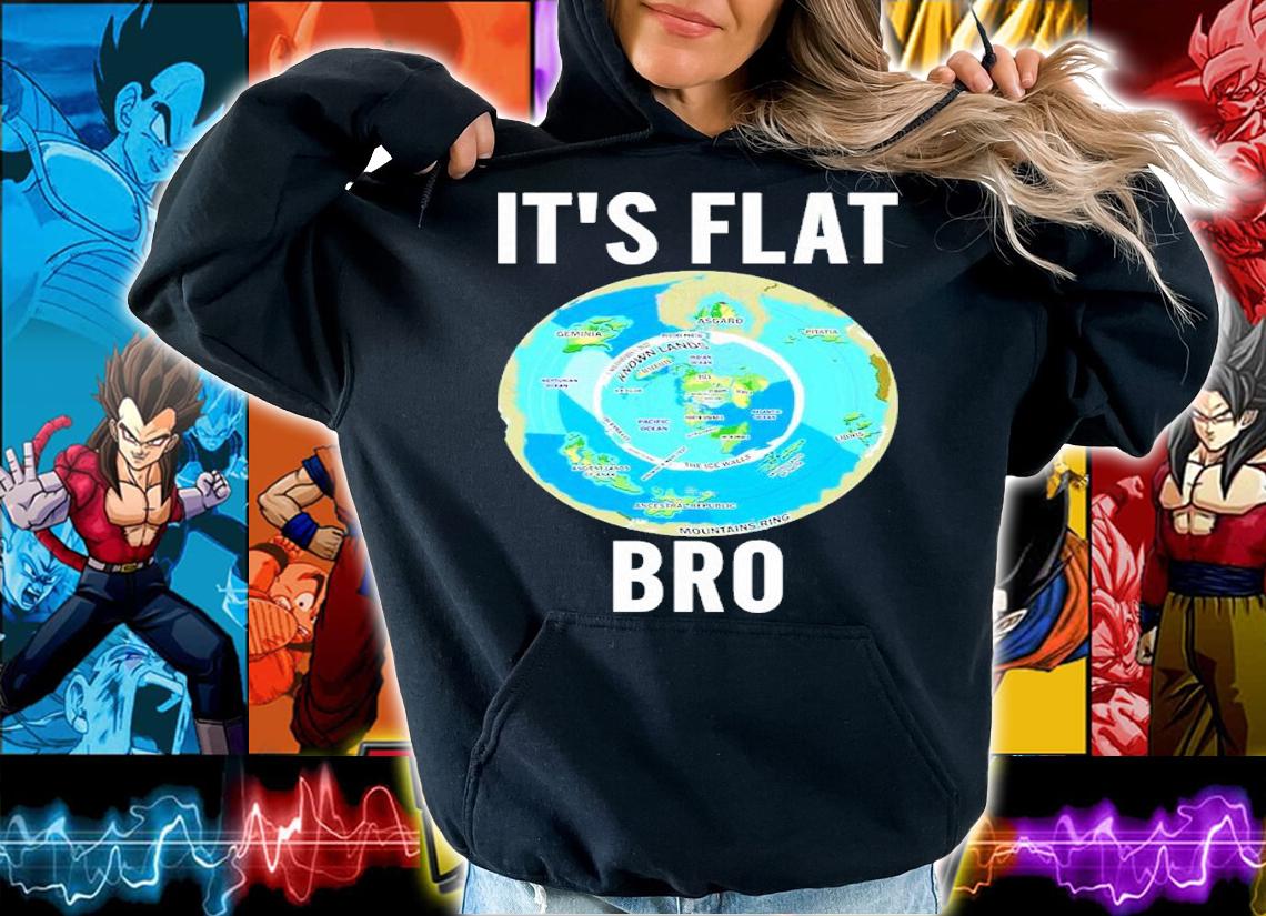 Freedom For All Worldwide It's Flat Bro Classic Shirt t-shirt hoodie