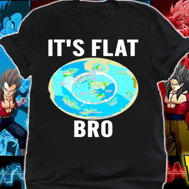 Freedom For All Worldwide It's Flat Bro Classic Shirt t-shirt shirt
