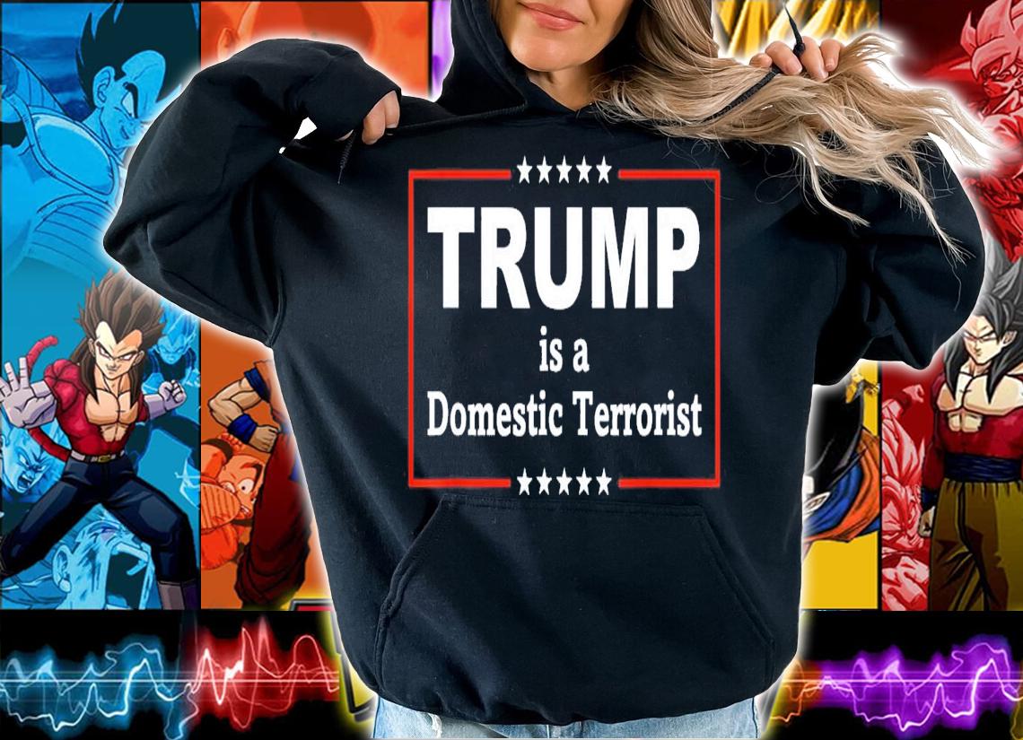 Trump Is A Domestic Terrorist T-Shirt t-shirt