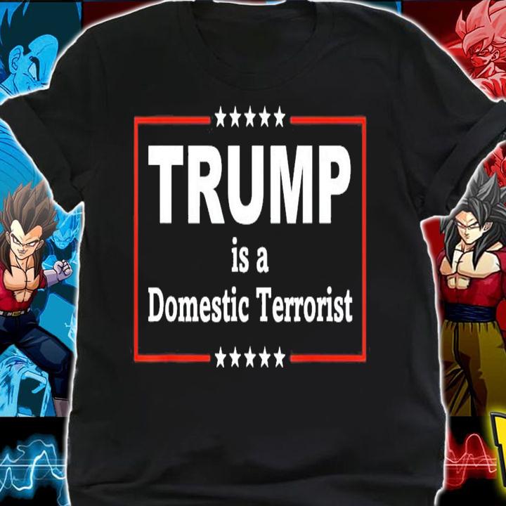 Trump Is A Domestic Terrorist T-Shirt t-shirt