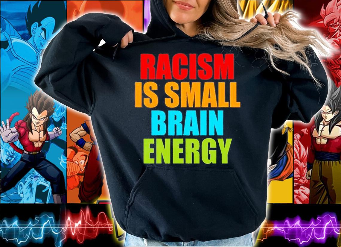 Racism is Small Brain Energy T-Shirt t-shirt