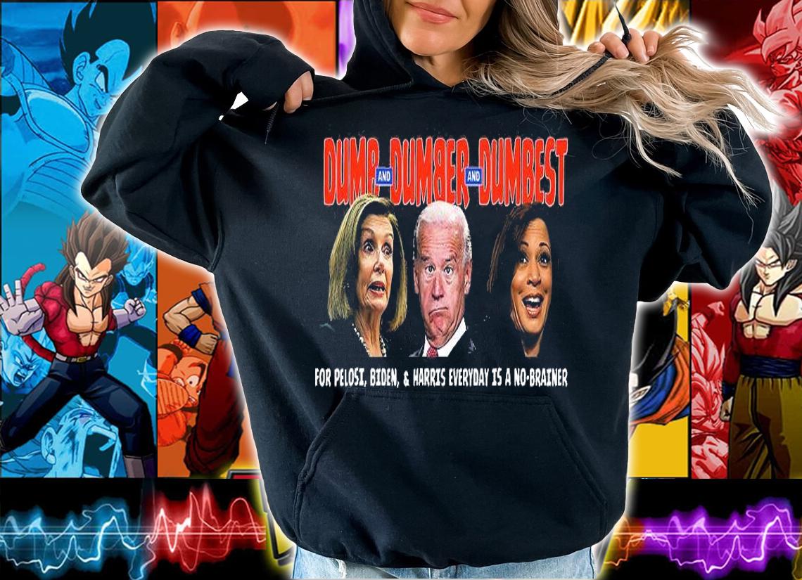 Pelosi, Biden, Harris, Are Dumb & Dumber & Dumbest Funny T-Shirt hoodie