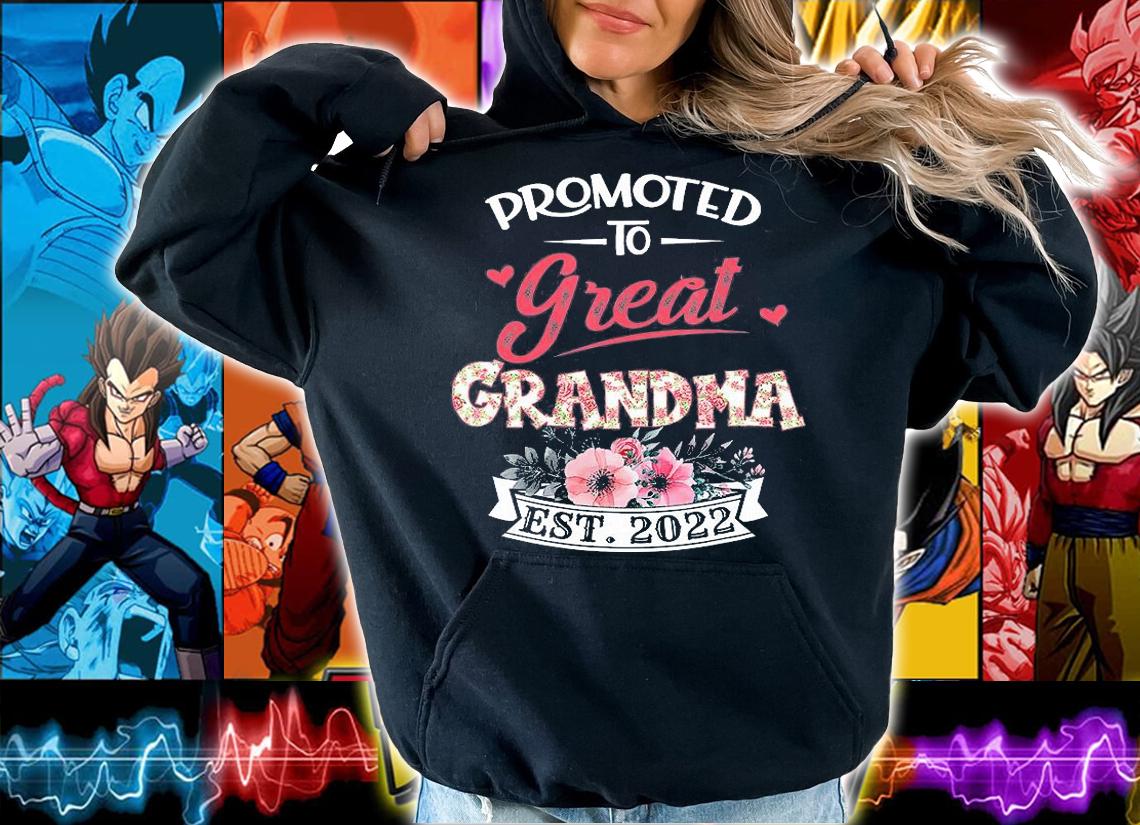 Promoted To Great Grandma est 2022 Mothers Day T-Shirt hoodie