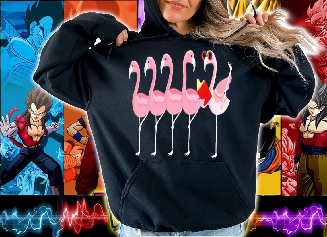 Flamingo reading book dancing shirt hoodie